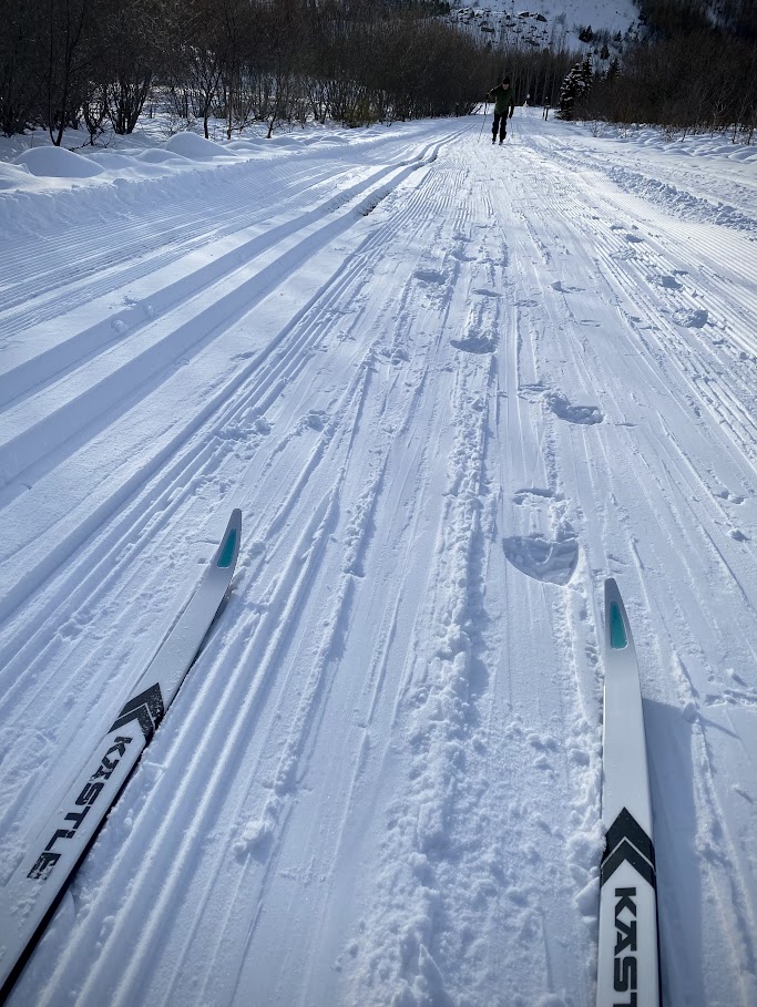 Gönguskíði í Kjarnaskógi